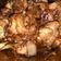 Cooksnap dari icha alisa untuk resep Ayam Saos Teriyaki Saori
