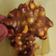 Cooksnap dari Beflirta Okenindi untuk resep Ampyang kacang/ teng2 gula merah