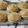 Cooksnap dari Rina Christine untuk resep Roti boy garing diluar empuk didlm.