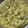 El cooksnap de Walter Parula cuando hizo 🇲🇽 GUACAMOLE (México).
