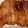 yuen 的 照燒雞腿 cooksnap