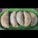 Roshani Gautam Pandey का कुकस्नैप जब उन्होंने गुजिया (gujiya recipe in Hindi) बनाया था।