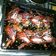 El cooksnap de Giovanna Gutierrez cuando hizo Alitas de pollo picantes (estilo Thai).