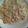 Taisha Grayer's cooksnap of when they made Shrimp Alfredo.