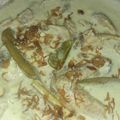 Cooksnap dari Farah Ain untuk resep Opor Ayam Kuah Putih