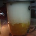 Cooksnap dari indah pus untuk resep Korean mango milk