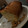 El cooksnap de Lunacocina cuando hizo Budín de coco y frutos secos.