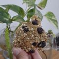 El cooksnap de Sile Perez cuando hizo Galletas de avena, coco pasas y semillas. Sin harina.