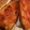 El cooksnap de Amaru Maeda cuando hizo Tumaca. "Pà amb tomàquet" triturado casero.