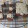 Cooksnap dari Hestri Manda untuk resep Brownies Pisang Lembuuut Banget