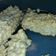 El cooksnap de Melisa De La Fuente cuando hizo Budín de avena y pera súper light.