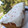 El cooksnap de Ala cuando hizo Glasé para budín o pan dulce.