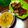 Cooksnap dari Wida Hadikusumo untuk resep Sayur labu siam kuah kuning