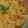 صورة من جنة الرحمان ، شاركها بعد تجربة وصفة كسكس السفة الجزائرية 🇩🇿ببنة خيالية 😋🤤