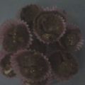 Cooksnap dari sisca untuk resep Chocolate Cornflake