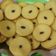 Cooksnap dari Adisty Devy untuk resep Kue Lumpur Kentang Super Lembut