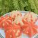 Cooksnap dari achyanftrnaaa untuk resep Bolu kukus ngakak😊
