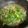 i❤️beauty 愛料理 的 青椒炒肉絲 cooksnap