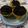 Cooksnap dari Verra Alkaff untuk resep Brownies Merekah (no mixer...no telor)