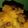Arpita Biswas's cooksnap of when they made কুমড়োর ছক্কা (kumroer chokka recipe in Bengali).