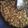 Sadaf Shoaib Vohra's cooksnap of when they made Khasta Kachori With Aloo Tarkari😇.