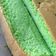 Cooksnap dari Aldhila Saraswati untuk resep Ogura Pandan