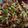 Juhi Prakash Sewani 's cooksnap of when they made Kala Chana Salad.
