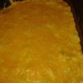 snowymist13's cooksnap of when they made Buffalo Chicken Dip.