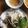 Cooksnap của lê thị kim liên khi họ làm theo món Bánh ướt lòng gà