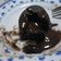 Cooksnap dari Prihartini Zulvi untuk resep Choco Lava Cake