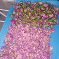 کوک اسنپ راشین🌹🌺🌸 بعد از امتحان کردن نحوه خشک کردن غنچه گل محمدی🌹🌹.