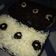 Cooksnap dari Dwi Andriani Muhtar untuk resep Brownies Lumer