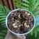 Cooksnap dari Widia yenty untuk resep Coklat Mede Cookies Super Crunchy Crispy  & Nyoklat rekomend (#kuelebaran)