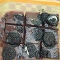 Cooksnap dari Princess EmiLy untuk resep Puding spesial buat suami dan mertua tersayang