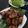 Cooksnap dari Nabilla Andara untuk resep 247. Ayam Bakar Taliwang Lombok