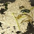 Cooksnap dari Maulida Milyuna untuk resep Isian Sosis Solo/Lemper Ayam