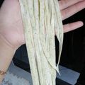 Cooksnap dari Laras Bijakhi Guarizqi untuk resep Mi basah homemade 1telur knyal (anti gagal)