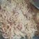 Cooksnap dari Stefina riawinata untuk resep Spaghetti Carbonara Simple