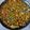 El cooksnap de Rodin cuando hizo Arroz integral con verduras y pollo.
