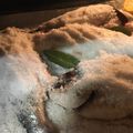 El cooksnap de Eduardo Cano Hernández cuando hizo Dorada a la sal.