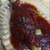Cooksnap Julia ALeen Aireish semasa beliau membuat Cencaru masak sambal.