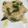 Cooksnap de Makiko Tanaka sur la recette Risotto Asperges&crevettes