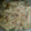 Vrinda Idnani's cooksnap of when they made White sauce creamy pasta.