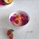 Cooksnap dari Galia salfitri untuk resep Sop Buah