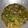 Cooksnap dari utami untuk resep Asem-asem Buncis