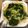 Winco Liu 的 野蔬拼盤 cooksnap