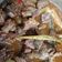 Cooksnap dari Eva Siva untuk resep 104. Rawon Daging
