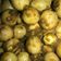 Cooksnap dari Risma Febriana untuk resep Sate Telur Puyuh Bacem