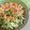 Cooksnap của Nguyễn Thị Bích Đào khi họ làm theo món Bánh mì hấp