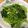 Rowena Tsang 的 清炒莧菜 cooksnap